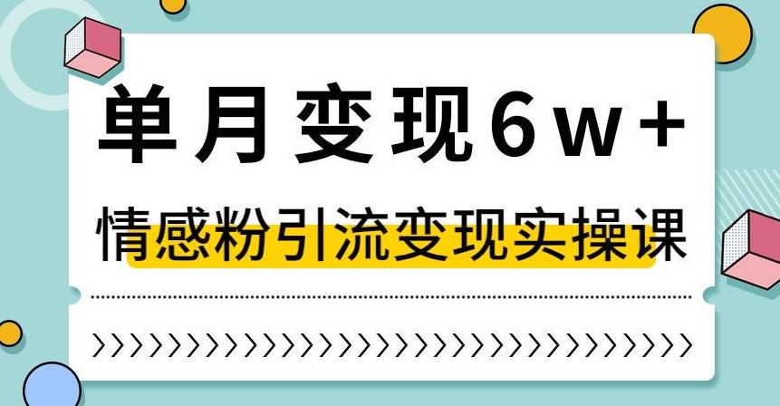 抖音情感粉引流变现实操课，快速上手，小白也能轻松月入6W！  第1张