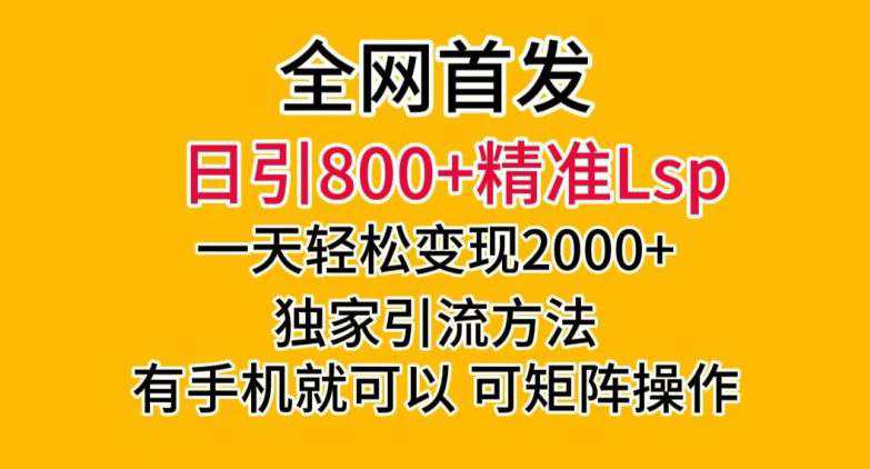 全网首发！日引800+精准LSP，一天变现2000+，独家引流方法，可矩阵操作  第1张