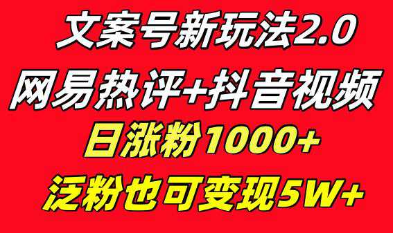 文案号新玩法：网易热评+抖音文案，一周轻松涨粉5W+，多种变现模式  第1张