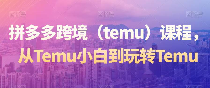 拼多多跨境（TEMU）精选课程，从TEMU小白到玩转TEMU  第1张